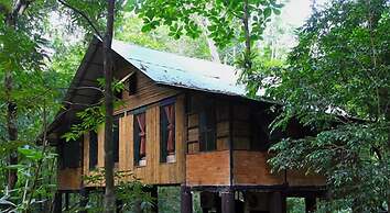 Khao Sok Tree House