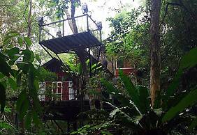 Khao Sok Tree House