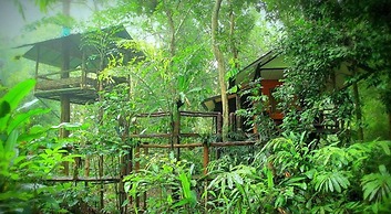 Khao Sok Tree House