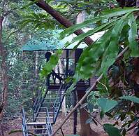 Khao Sok Tree House