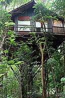 Khao Sok Tree House