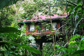 Khao Sok Tree House