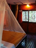 Khao Sok Tree House