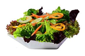 Dahilayan Forest Park Resort