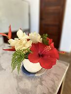 MG Cocomo Resort Vanuatu