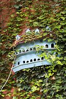 Martı Myra - All Inclusive