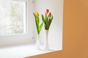 Split Oasis Apartments