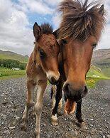 Boutique Hotel Anna by EJ Hotels