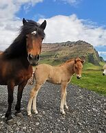 Boutique Hotel Anna by EJ Hotels