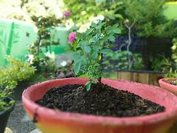 Bamboo Flat Residencial