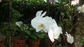 Wild Beach Phu Quoc Resort