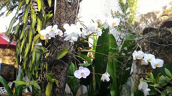 Pousada Arte Colonial