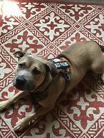 Beachside Boutique Inn