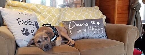 Beachside Boutique Inn