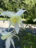 Twin Peaks Lodge and RV Park