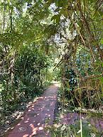 Rainforest Hotel & Cabañas