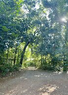Rainforest Hotel & Cabañas