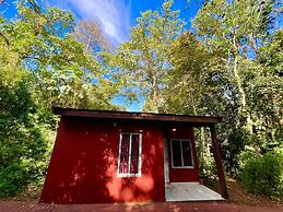 Rainforest Hotel & Cabañas