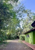 Rainforest Hotel & Cabañas