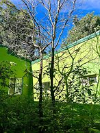 Rainforest Hotel & Cabañas