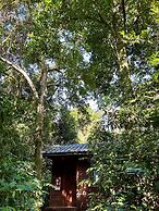 Rainforest Hotel & Cabañas