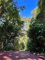 Rainforest Hotel & Cabañas