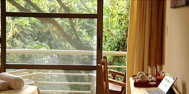 Rainforest Hotel & Cabañas