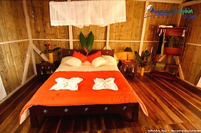 Amazon Dolphin Lodge