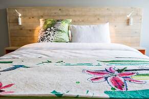 Smartflats Design - Cathédrale