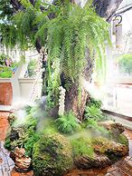 Big Tree Old Town Hotel