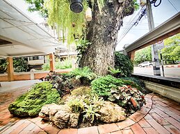 Big Tree Old Town Hotel
