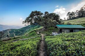 Madulkelle Tea and Eco Lodge