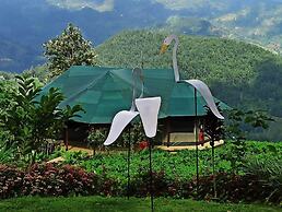 Madulkelle Tea and Eco Lodge