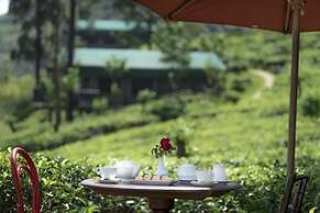 Madulkelle Tea and Eco Lodge