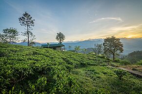 Madulkelle Tea and Eco Lodge