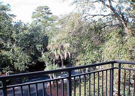 Forest Beach by Seashore Vacations