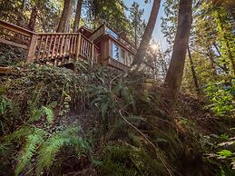 The Tree House Cottage