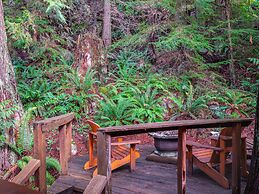 The Tree House Cottage