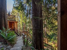 The Tree House Cottage