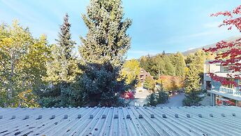 Whistler Blackcomb VR at Town Plaza