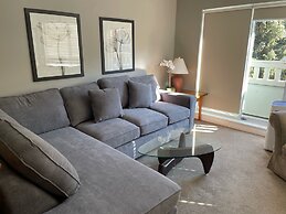 Whistler Blackcomb VR at Town Plaza