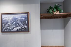 Whistler Blackcomb VR at Town Plaza