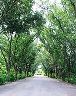 Aekpailin River Kwai Resort Kanchanaburi