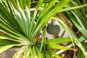 Southern Sun Homestay North