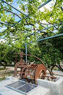 Ilyssion Holidays Hotel