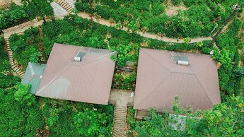 The Tea Cottage Resort & Spa