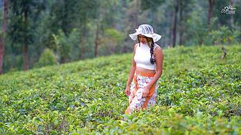 The Tea Cottage Resort & Spa