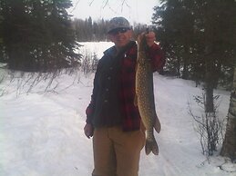 Mooseberry Cabin, Willow AK