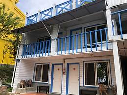 Cingjing Brilliant Twins of Seattle