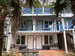 Cingjing Brilliant Twins of Seattle